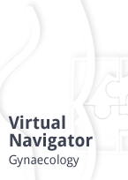 virtual-navigator